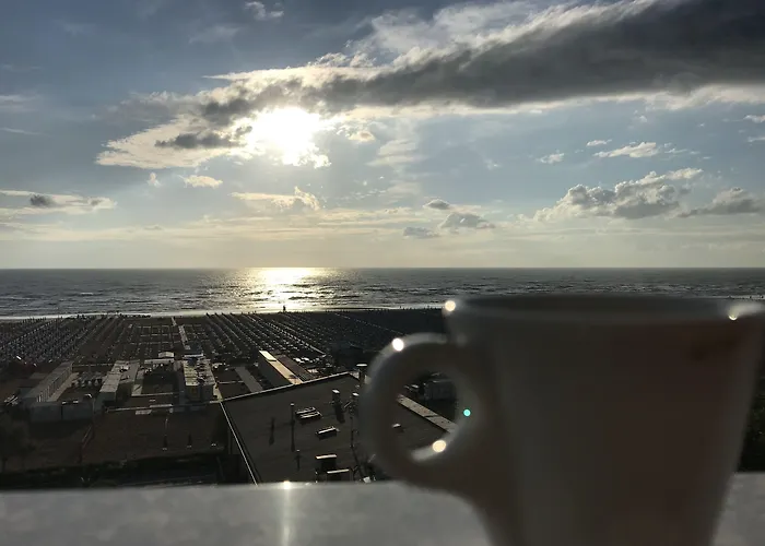 酒店 拜亚帝国酒店 4*